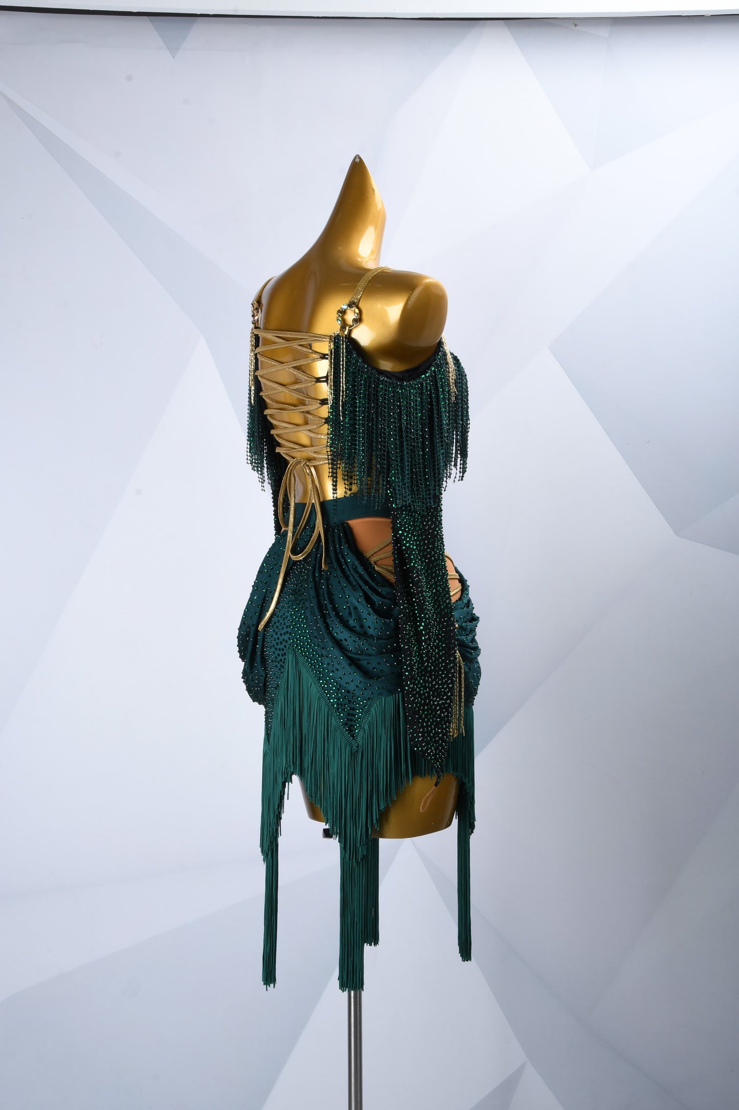 Latin Dress Costume