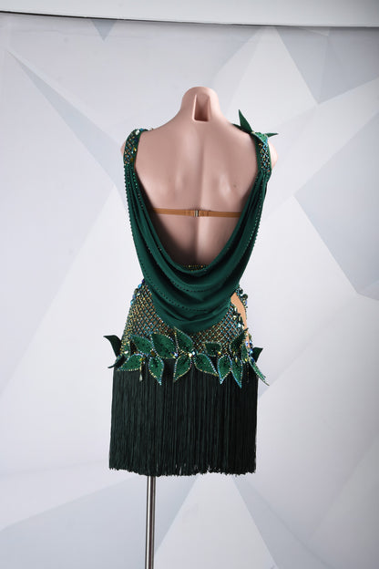 Secret Garden | Fringe Latin Dress | DSC_2080