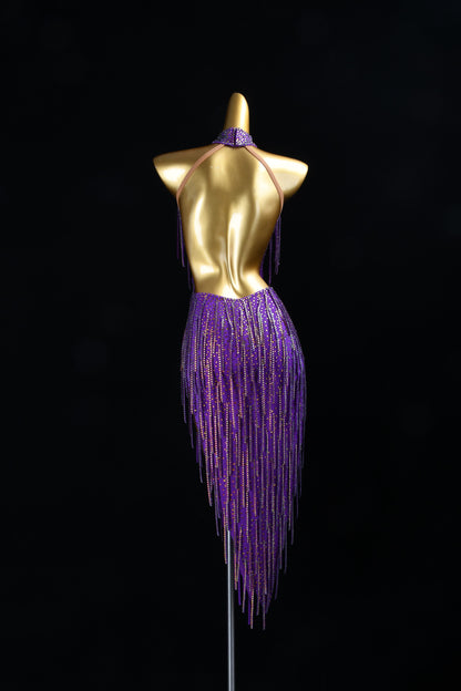 Latin Dance Dress