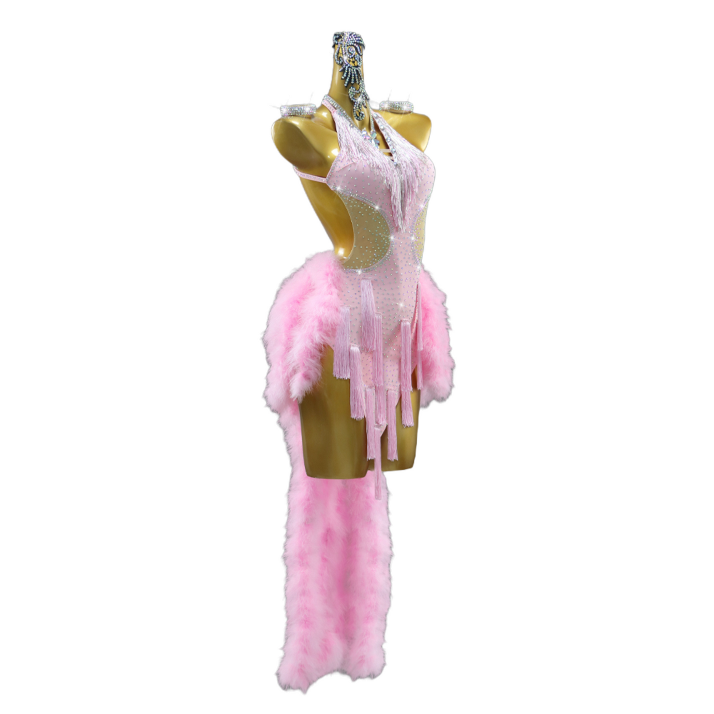 Feathered Fantasia Dress