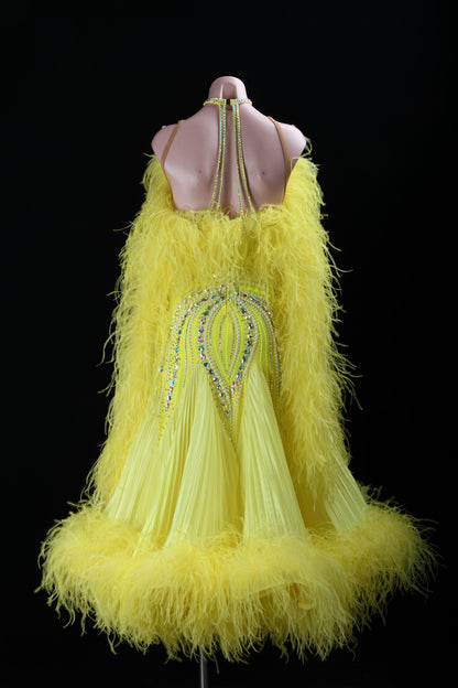 Custom Ballroom Dress