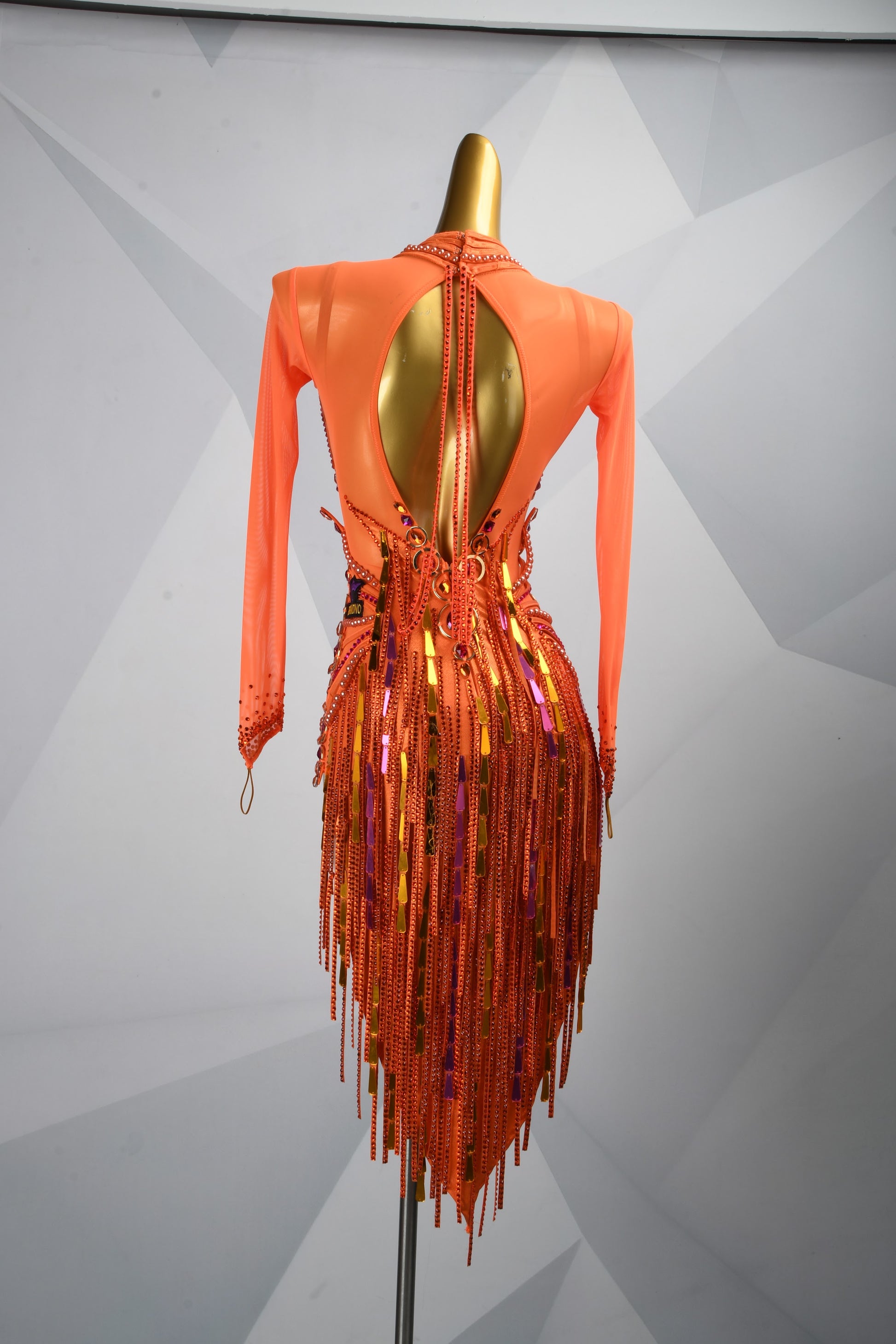 Latin Competition Dress