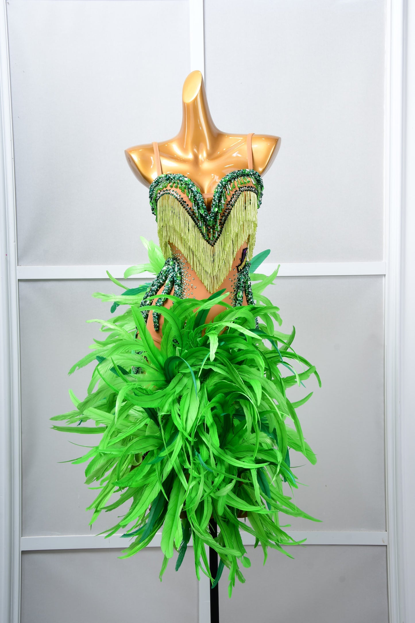 Latin Dancewear Dress