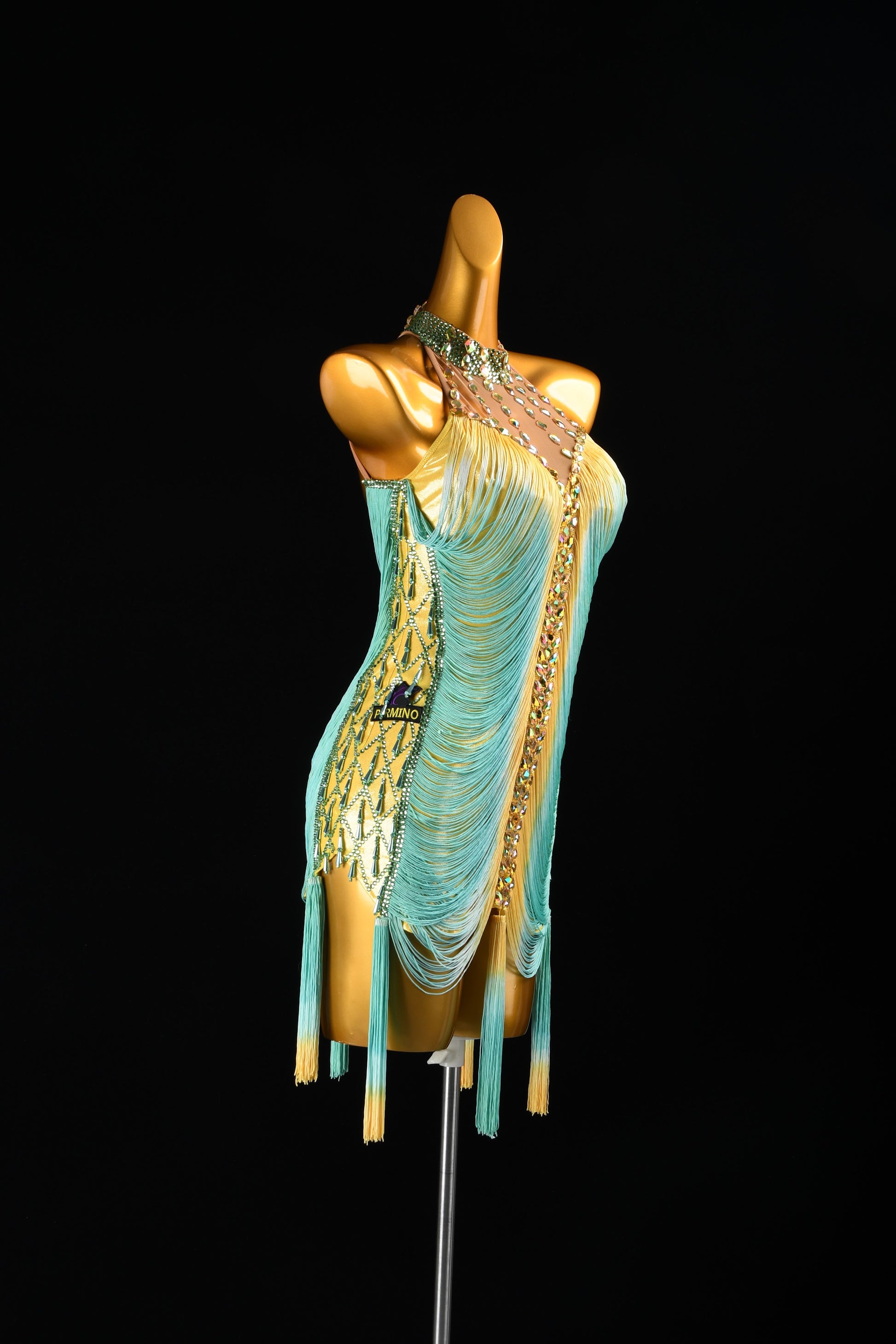 Custom Dance Costume