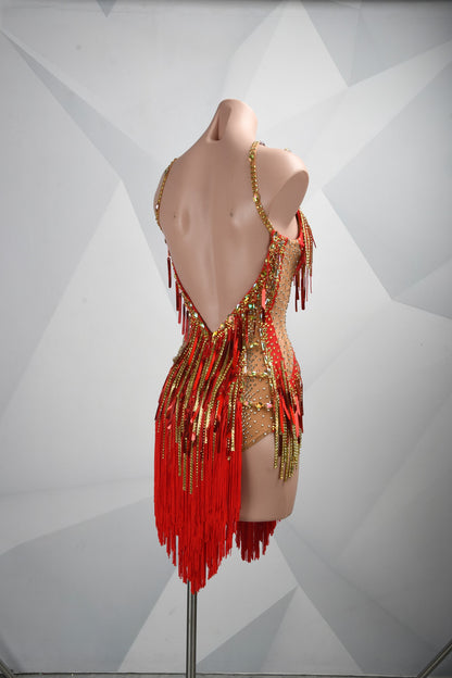 Rhythm Meets Seduction | Latin Stage Dress | DSC_2048