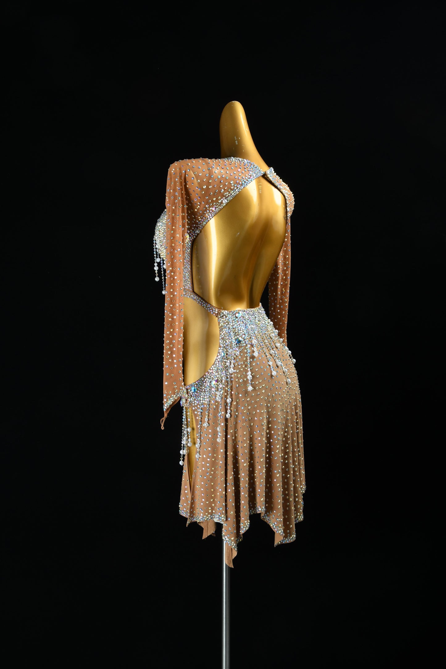 Professional Latin Dress