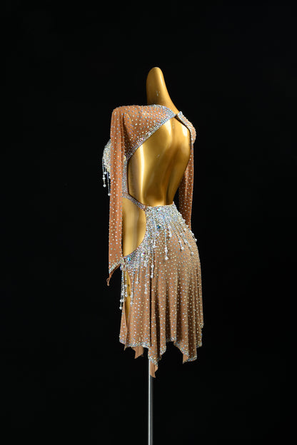 Professional Latin Dress
