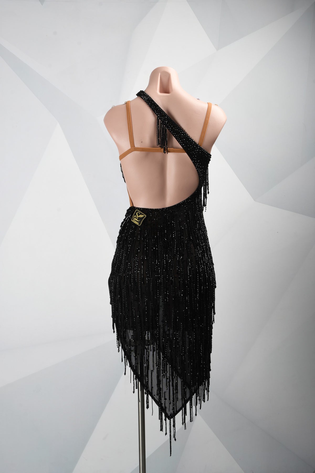 Latin Dancewear Dress