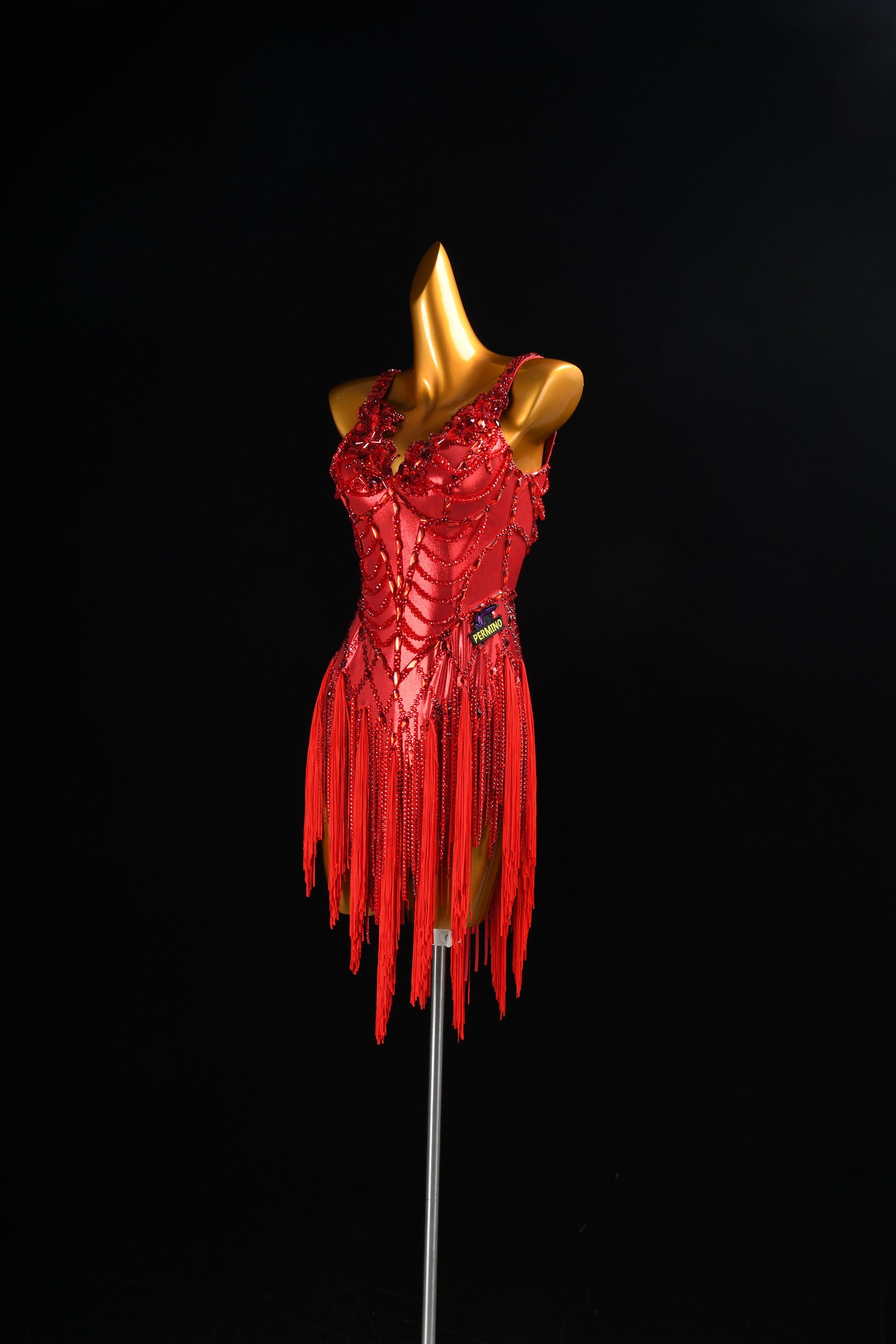 Custom Latin Dance Costume