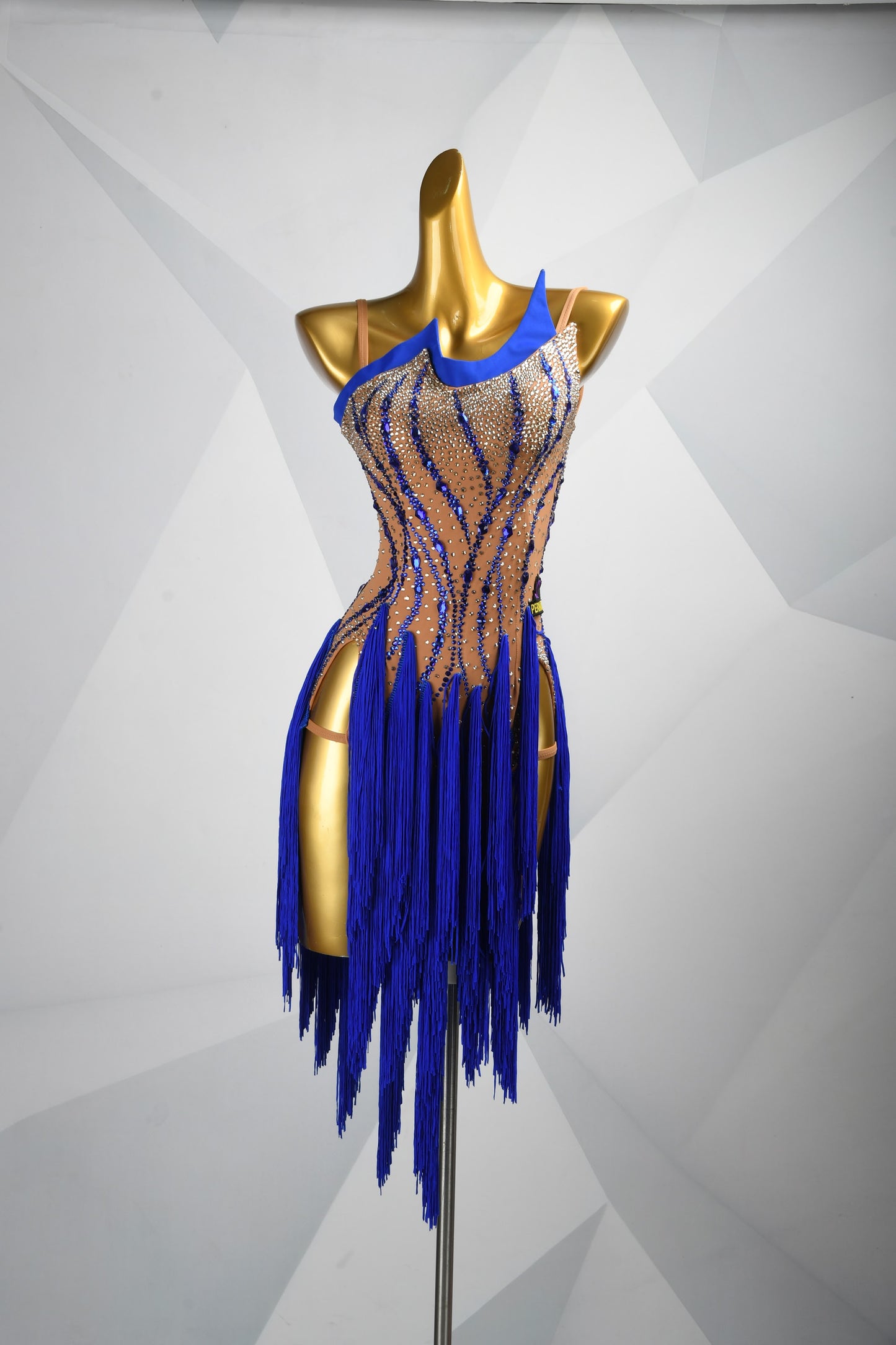 Every Fringe Tells a Story | Crystal Latin Dress | DSC_1915