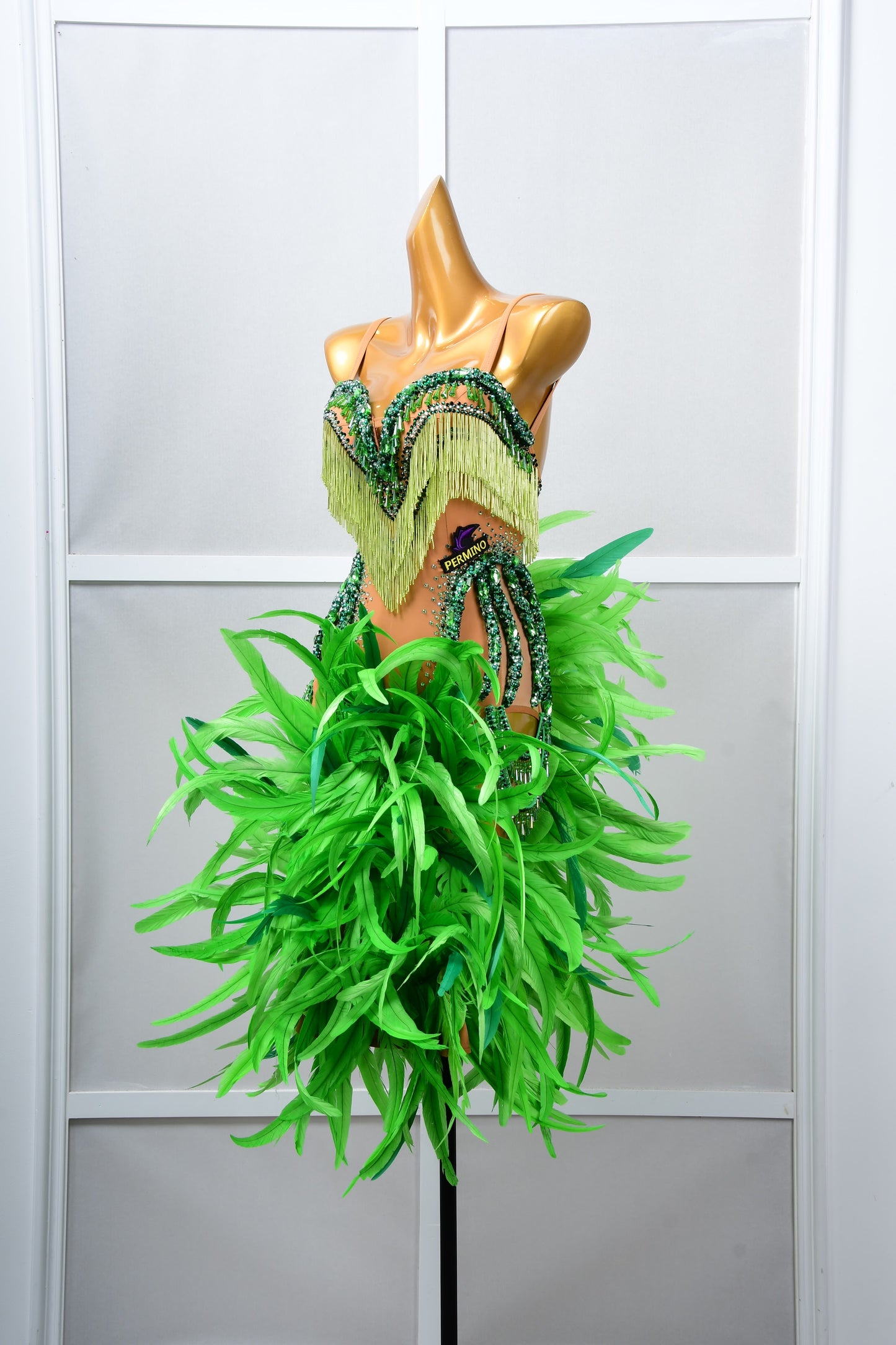 Latin Dancewear Dress