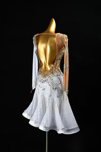 Exquisite Latin Dress