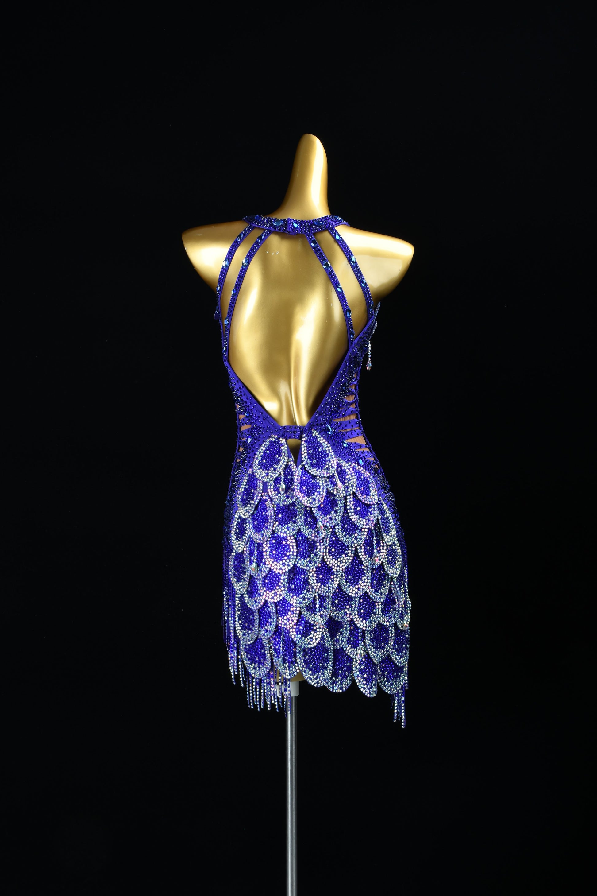 Female Dance Dress