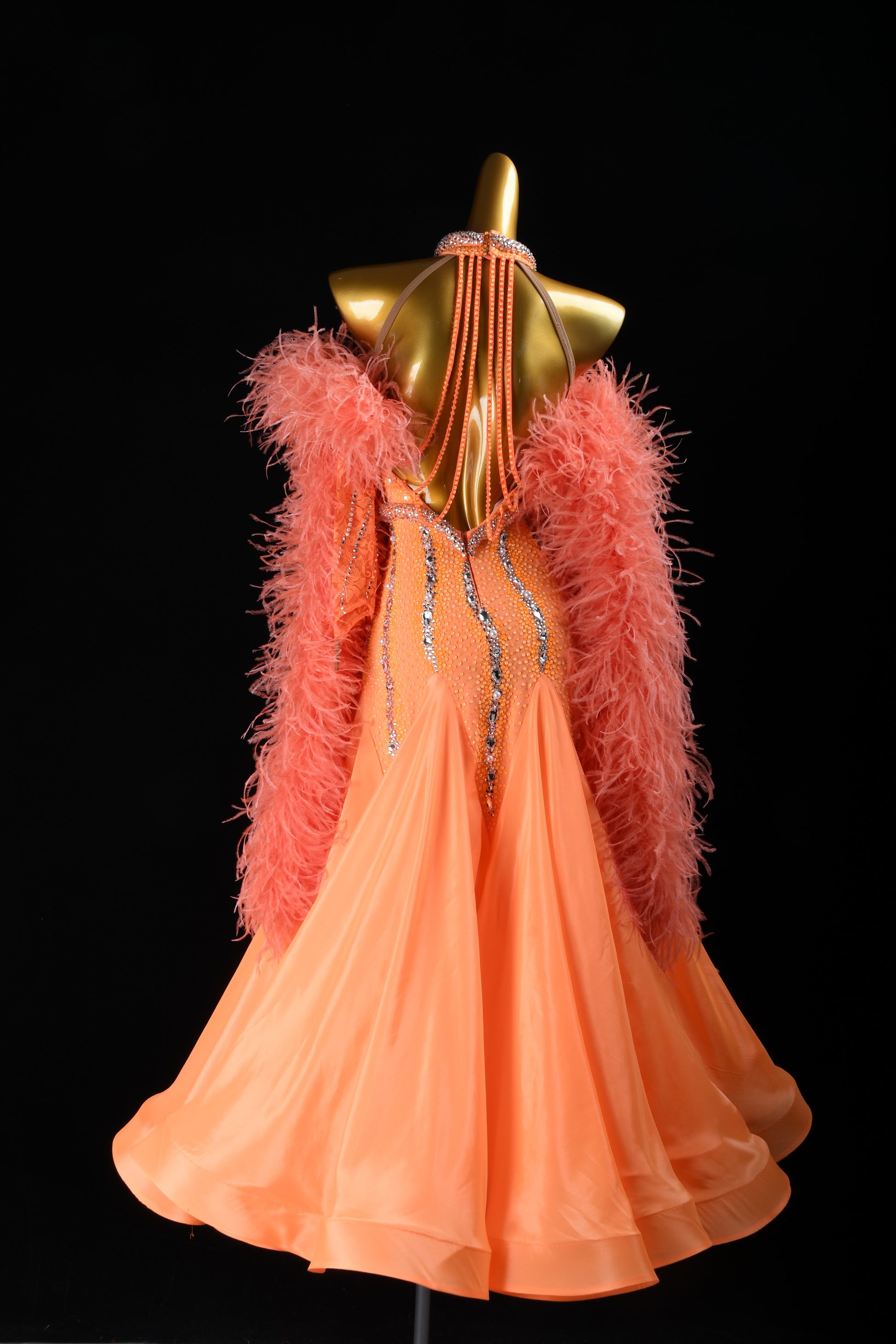 Professional Ballroom Competition Dress 
