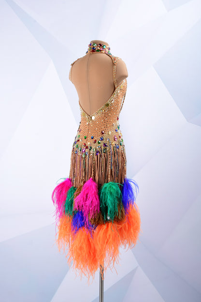 Latin Dance Costume