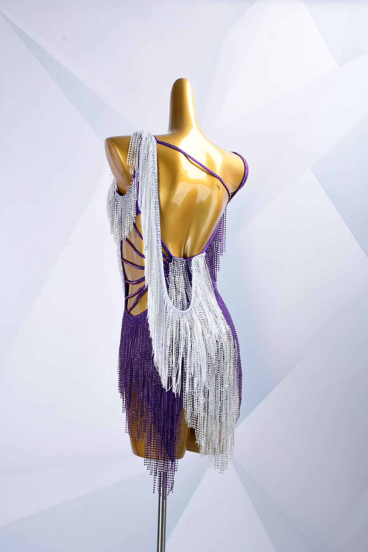 Crystal Dance Costume
