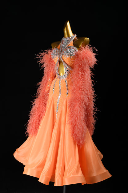 Professional Ballroom Competition Dress 