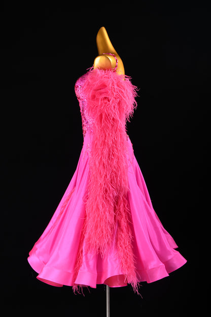 Couture Ballroom Competition Dress