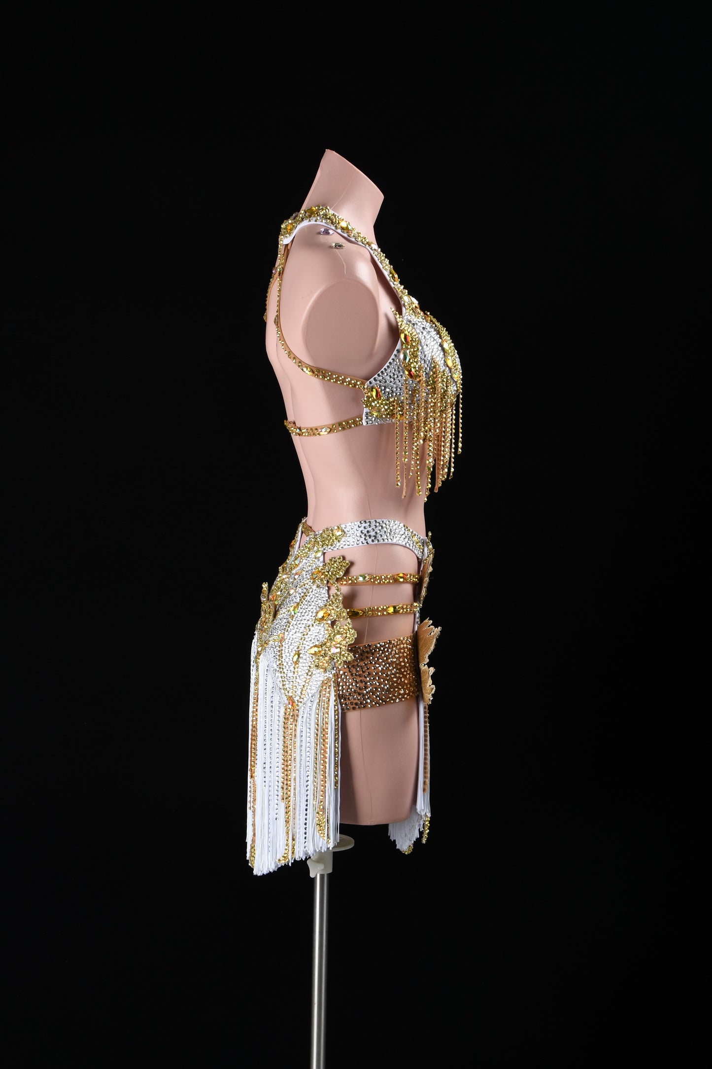 Champagne Empress | Glamour Latin Dress | DSC_3239