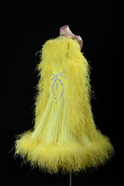 Custom Ballroom Dress