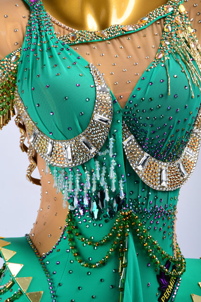 Latin Fringe Dress