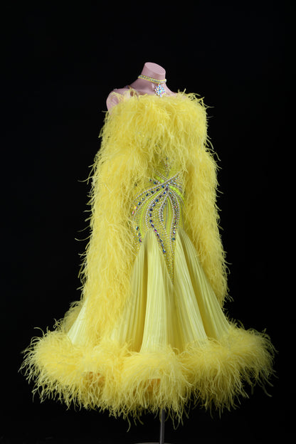 Custom Ballroom Dress