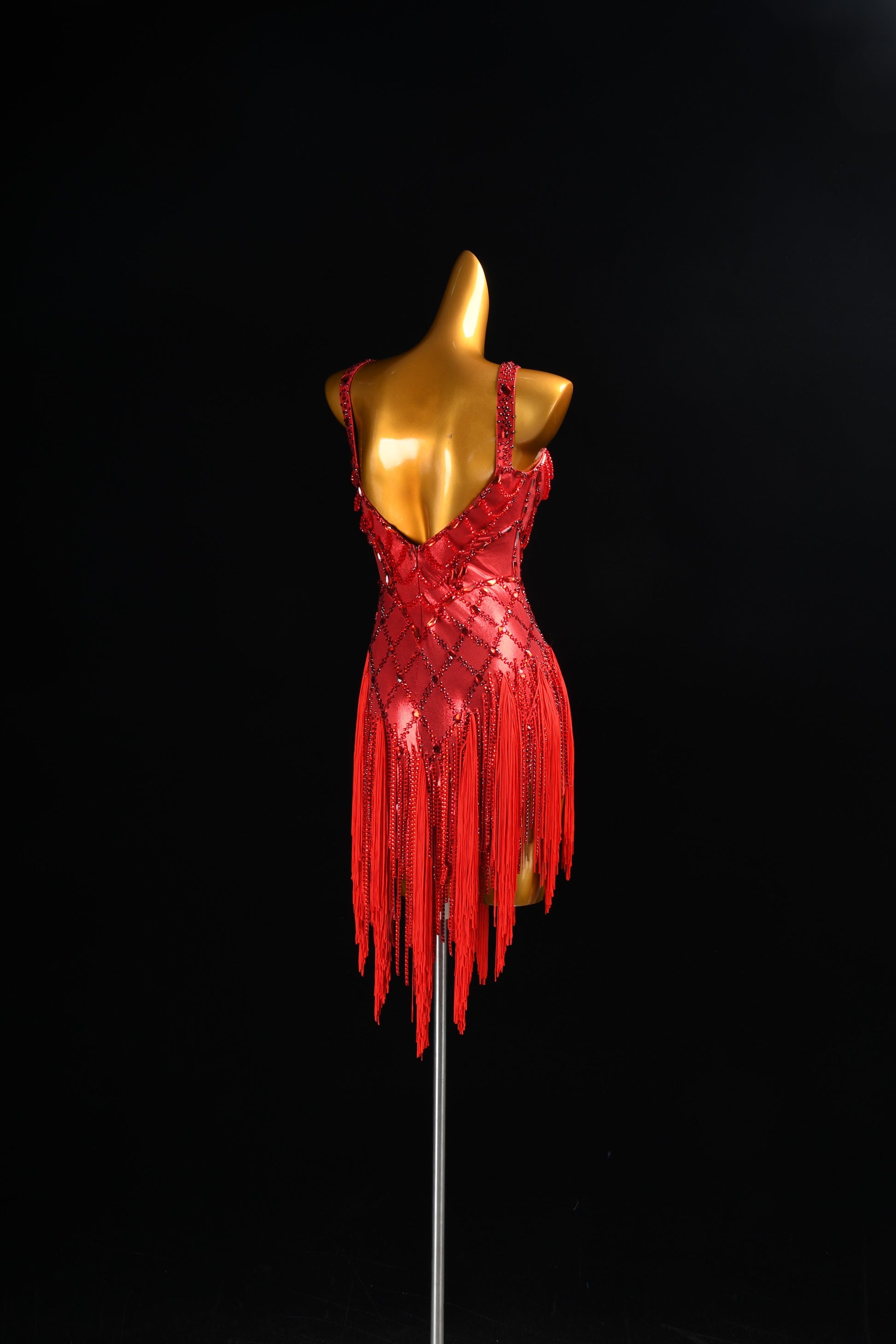 Custom Latin Dance Costume