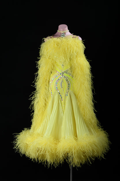 Custom Ballroom Dress