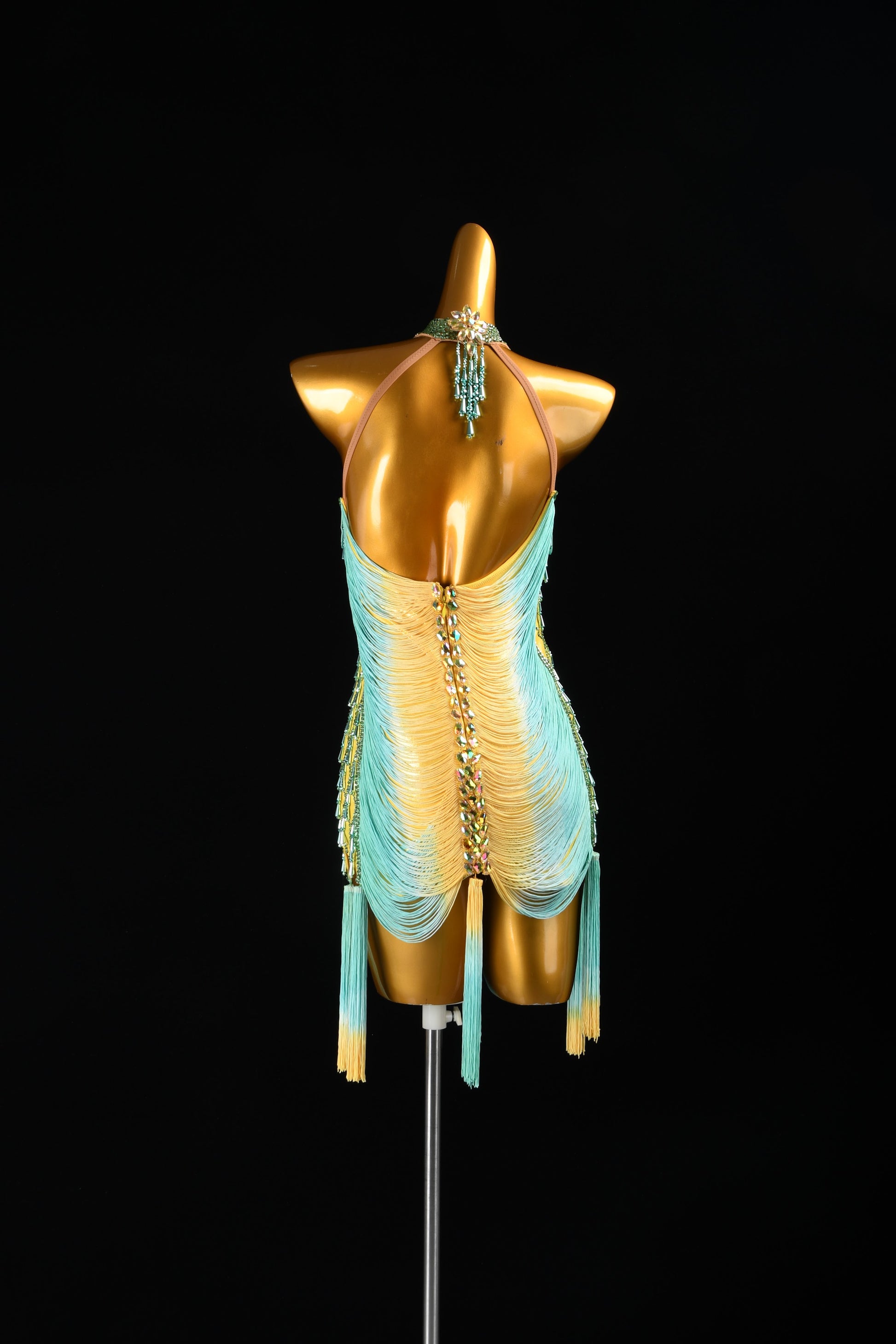 Custom Dance Costume