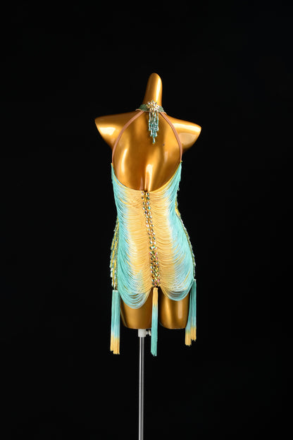 Custom Dance Costume