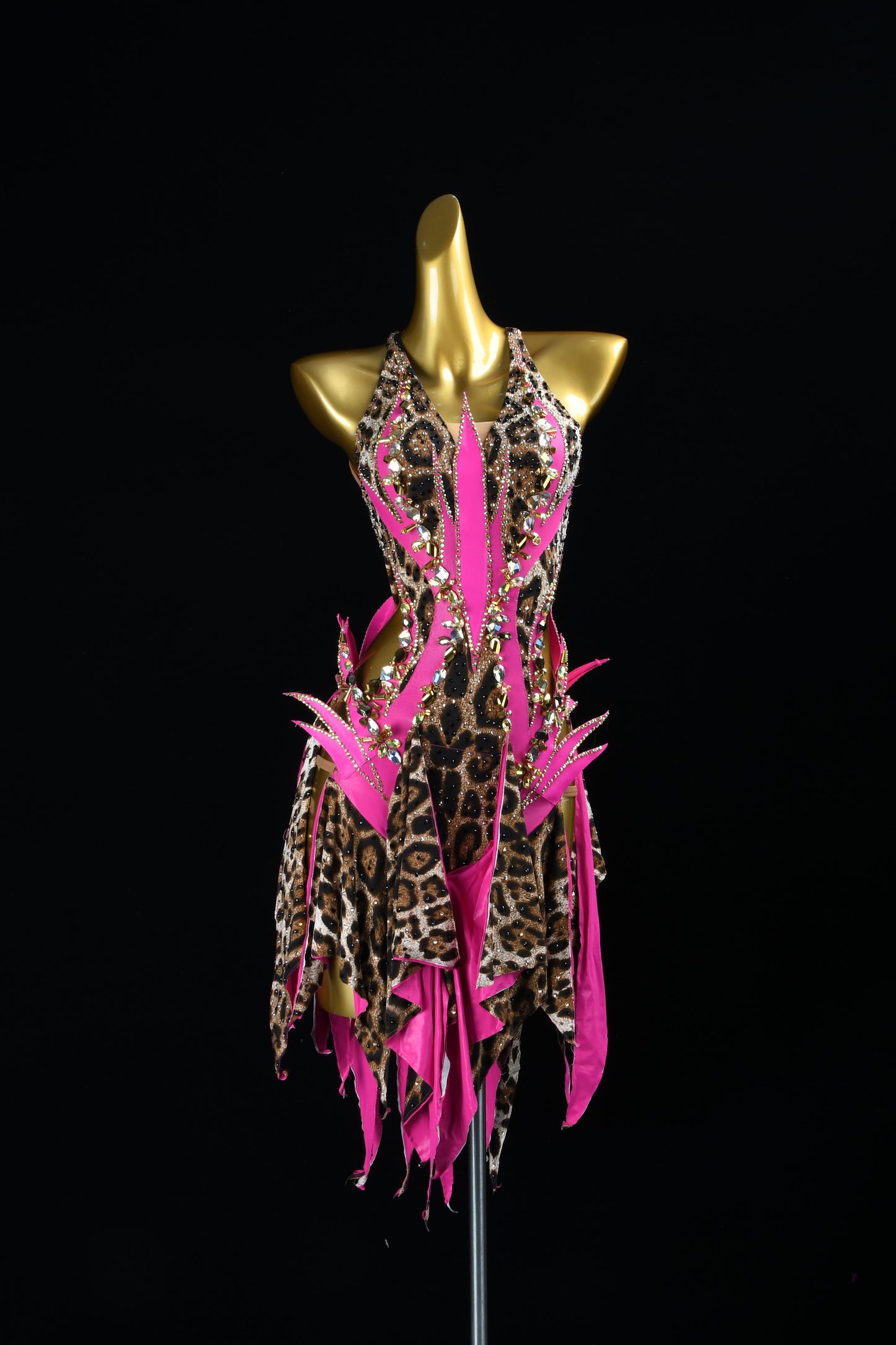 Flaming Wildflower | Latin Rhinestone Dress | DSC_7914