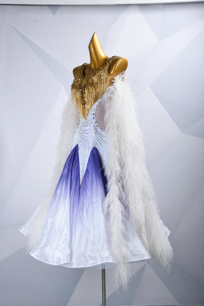 Ballroom Competition Dress