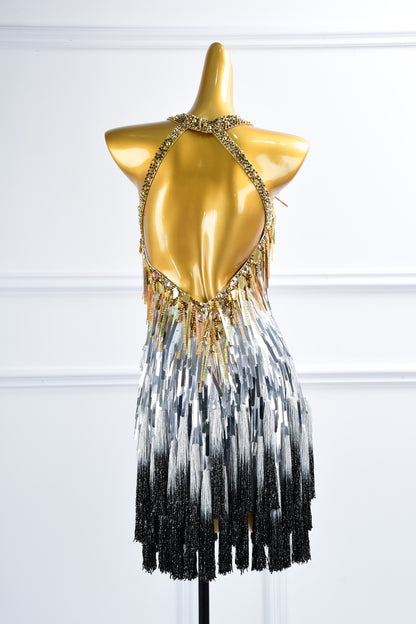 A Meteor Shower of Crystals | Latin Dance Dress | DSC_2094