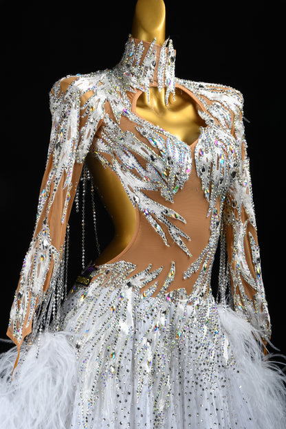 Standard Ballroom Dress
