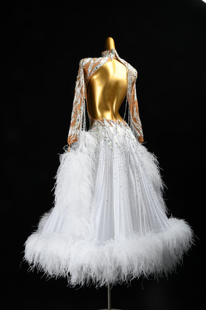 Standard Ballroom Dress
