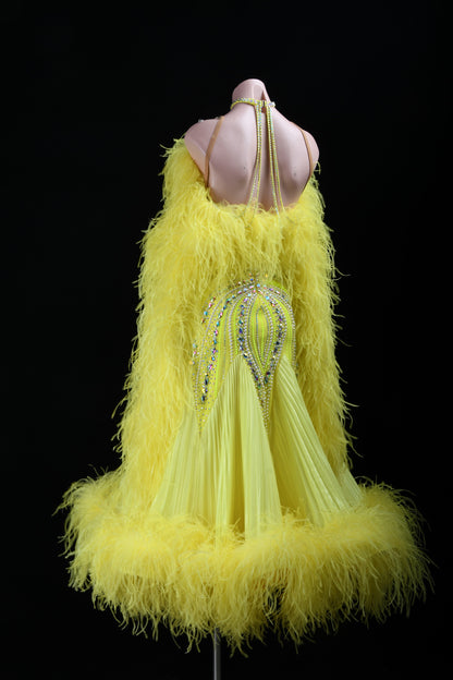 Custom Ballroom Dress