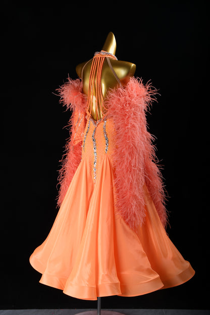 Professional Ballroom Competition Dress 