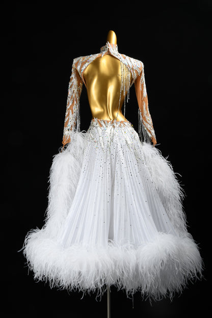 Standard Ballroom Dress