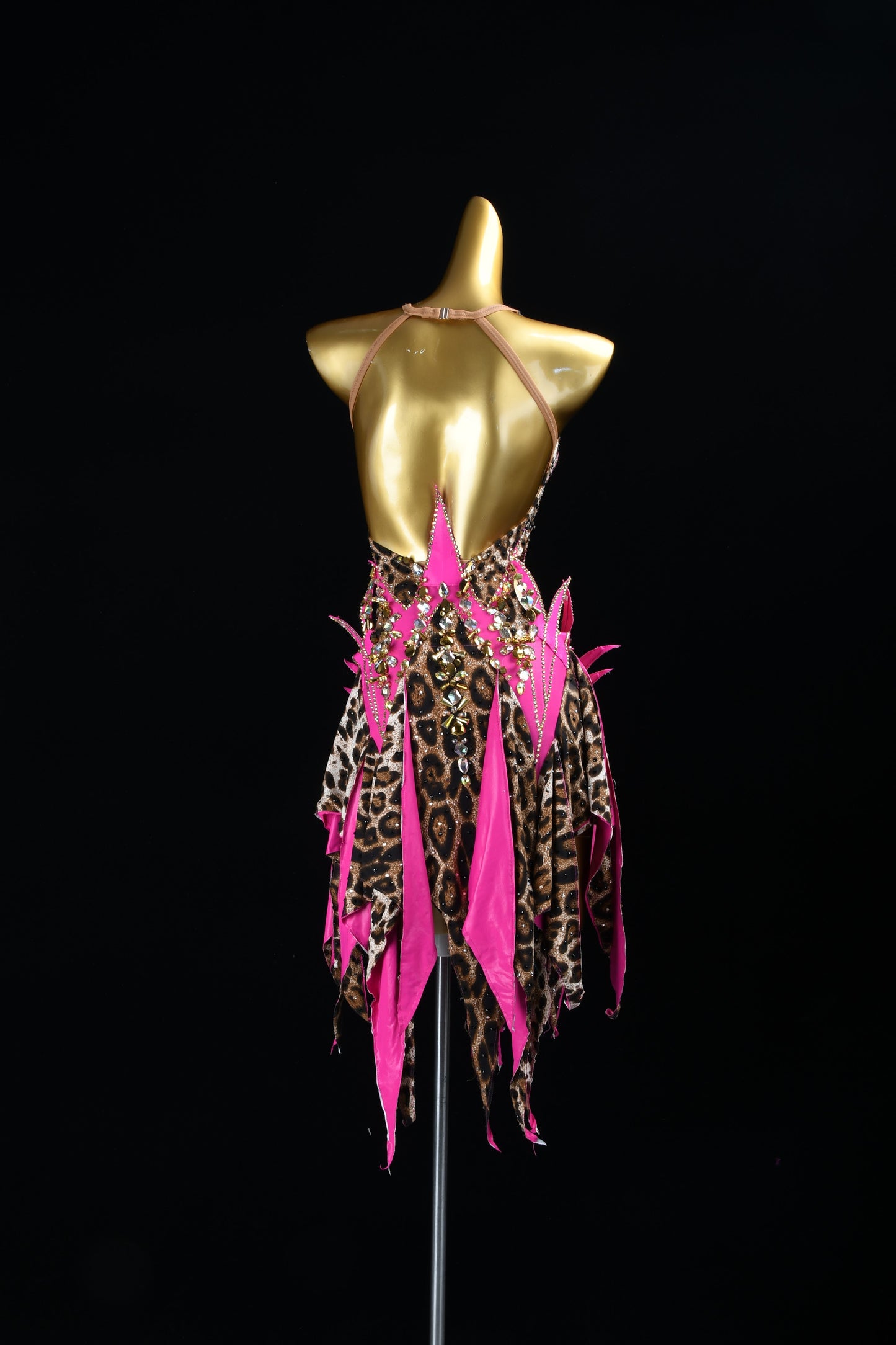 Flaming Wildflower | Latin Rhinestone Dress | DSC_7914