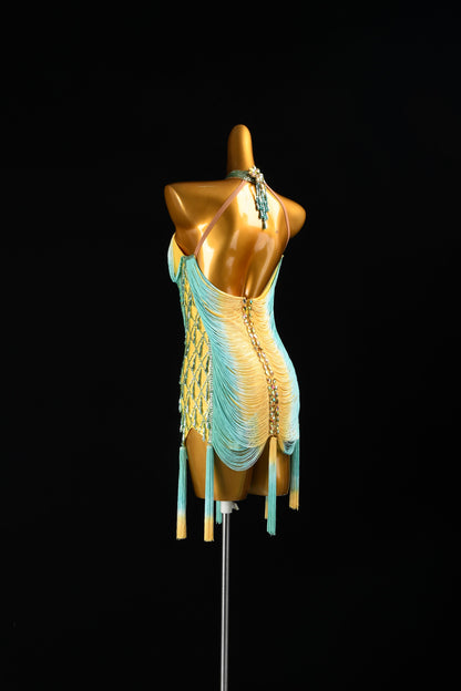Custom Dance Costume