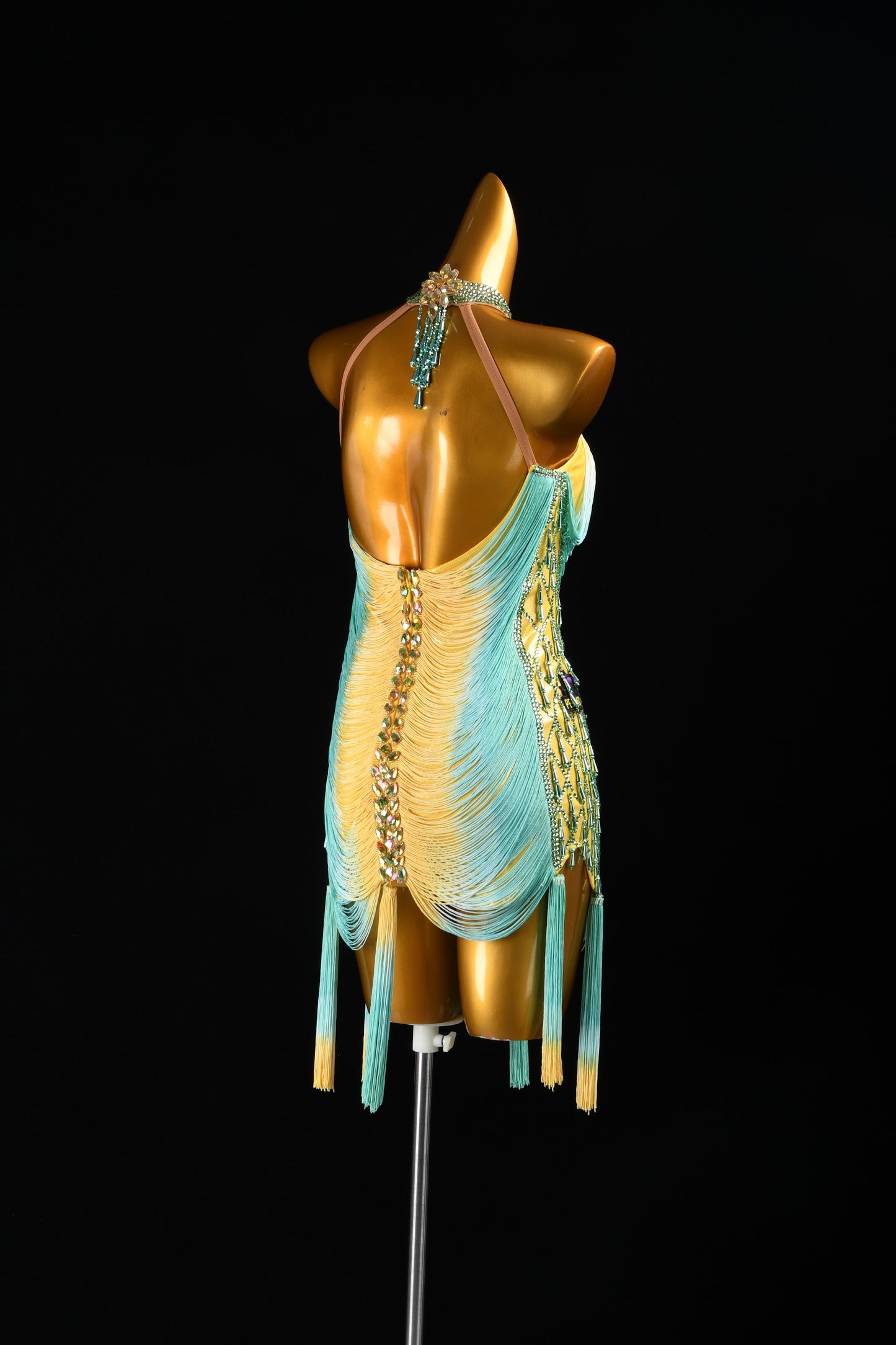 Custom Dance Costume