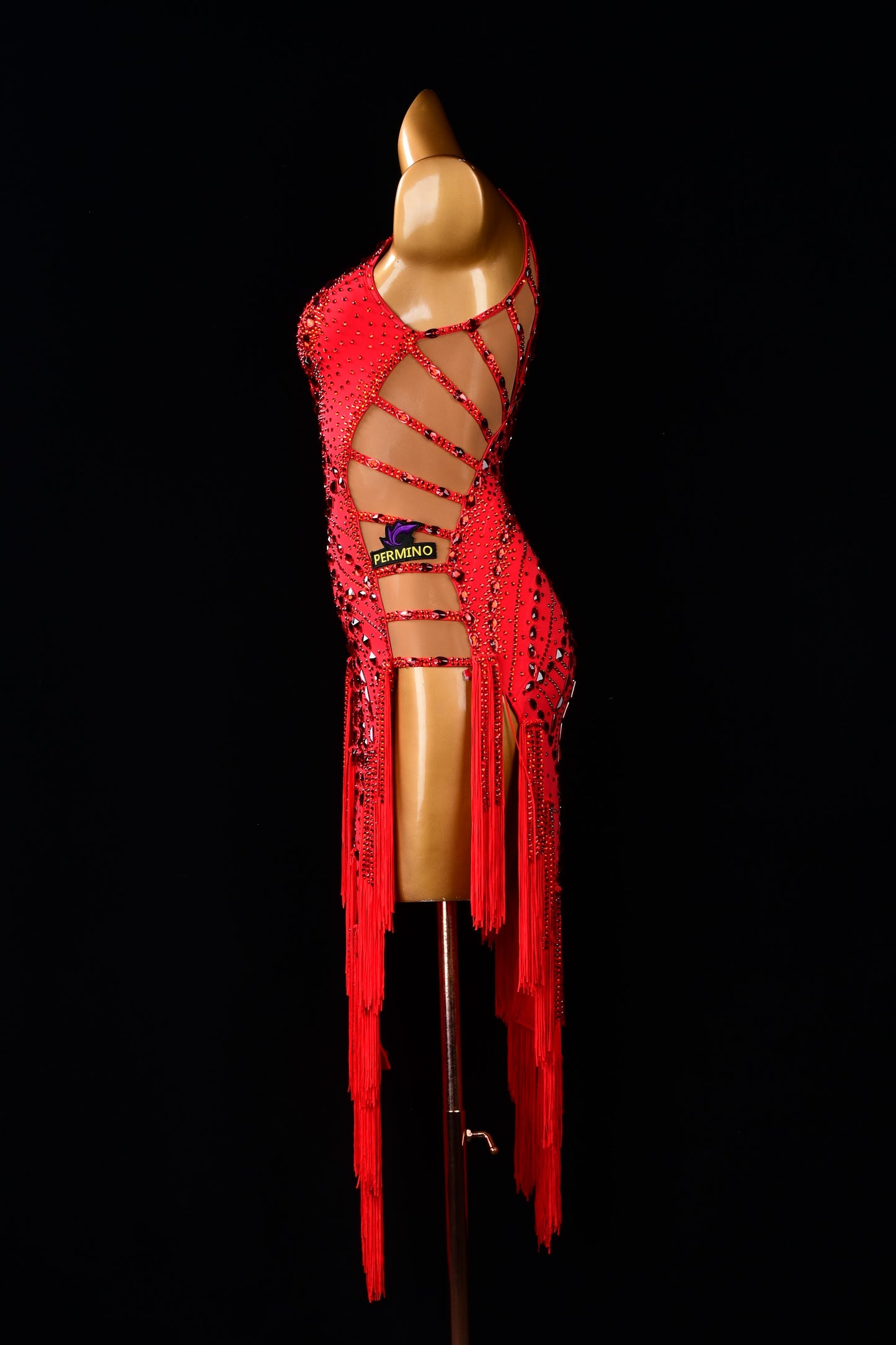 Latin Competition Dress