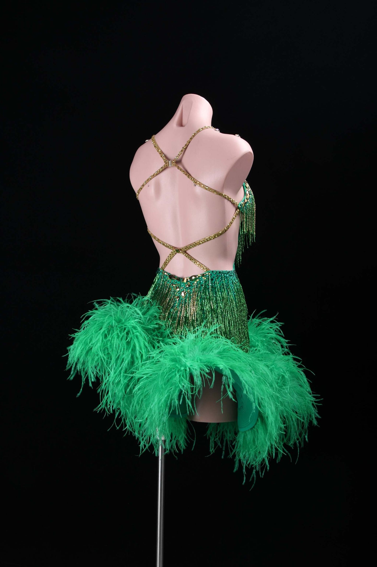 A Spectacle in Motion | Latin Dance Costume | DSC_0174