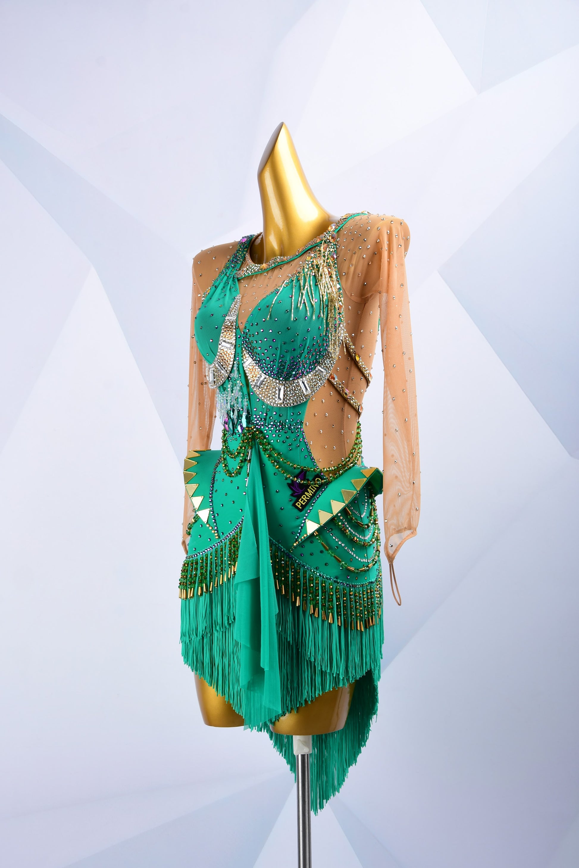 Latin Fringe Dress