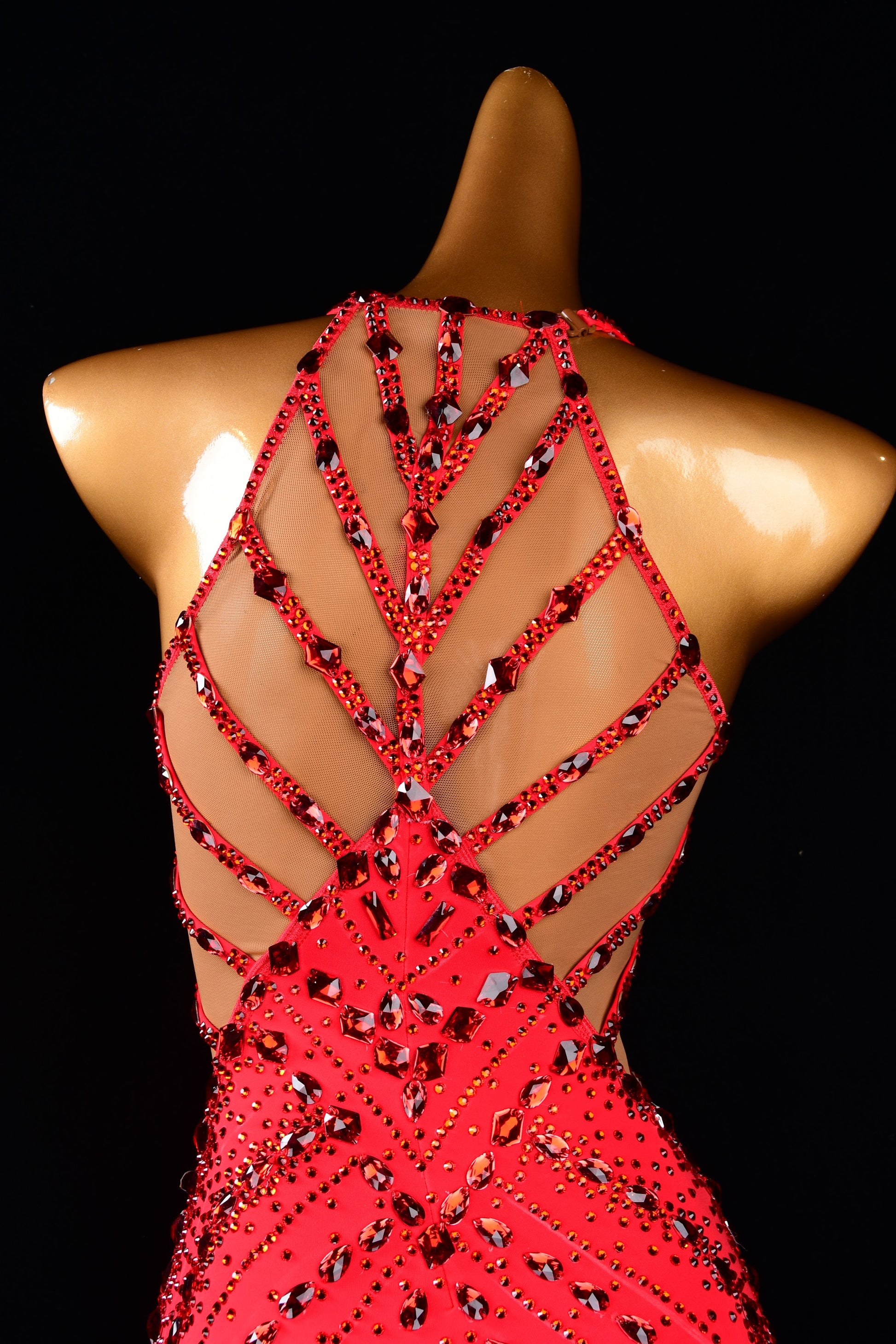 Latin Competition Dress
