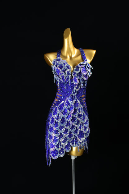 Female Dance Dress