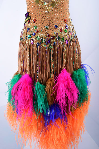 Latin Dance Costume