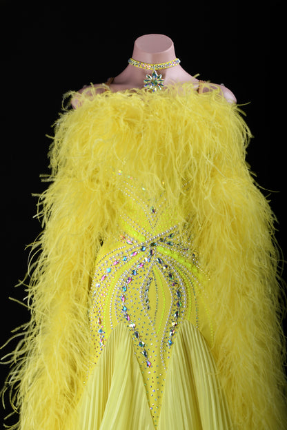 Custom Ballroom Dress