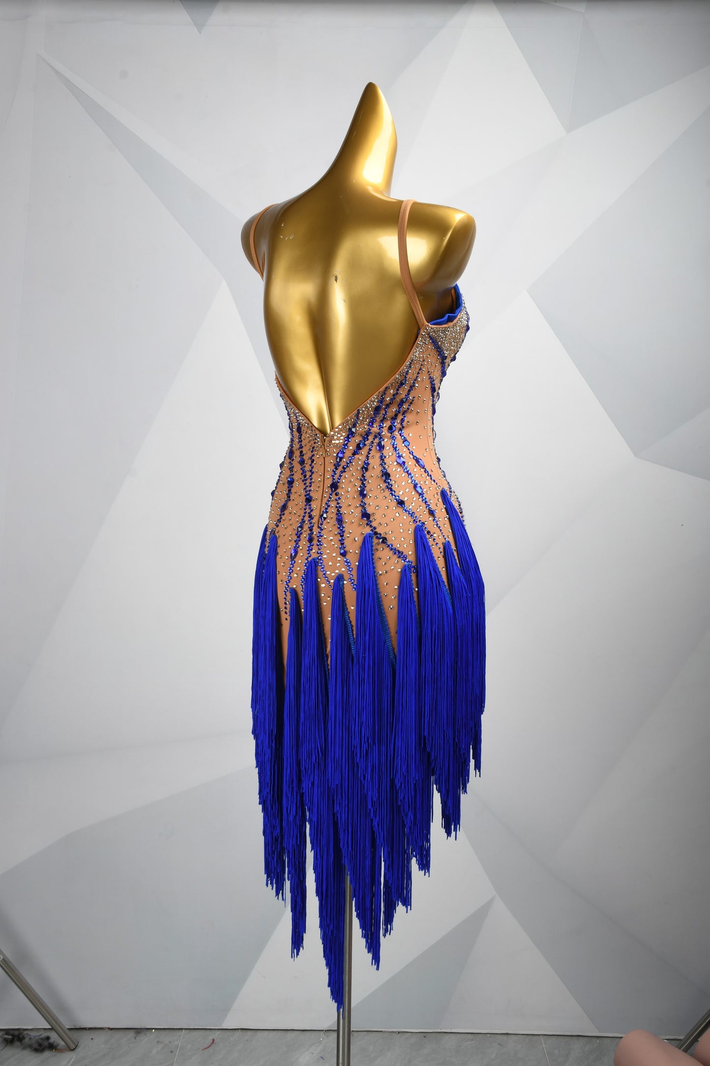 Every Fringe Tells a Story | Crystal Latin Dress | DSC_1915