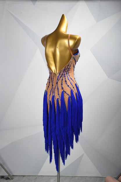 Every Fringe Tells a Story | Crystal Latin Dress | DSC_1915